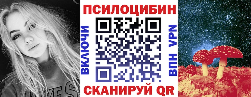 купить наркоту  Ступино  darknet формула  Псилоцибиновые грибы Cubensis  OMG как зайти 
